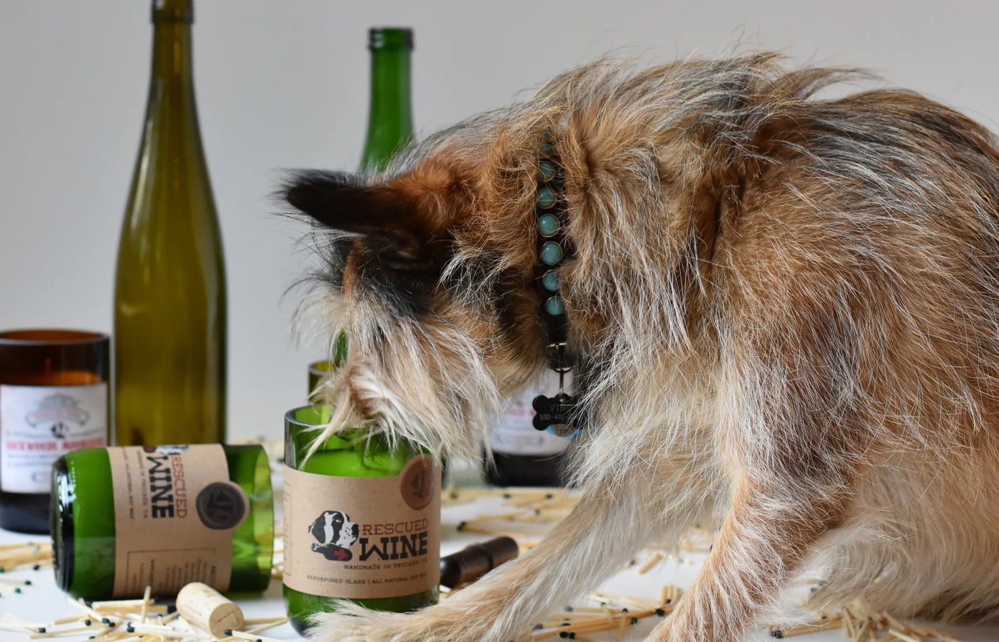 Rescued Wine
